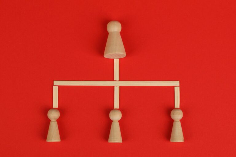 CEJM – Culture économique, juridique et managériale
